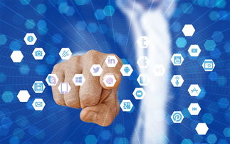 从0开始学黑客的步骤：轻松入门指南，少走弯路快速掌握核心技能