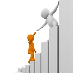 网上受骗自愿转账怎么办？快速挽回损失与防骗全攻略