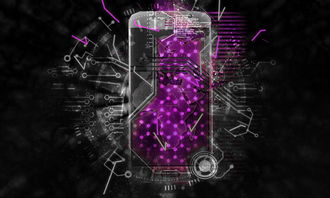 揭秘中国第一顶级黑客：探索他们的技术传奇与社会贡献